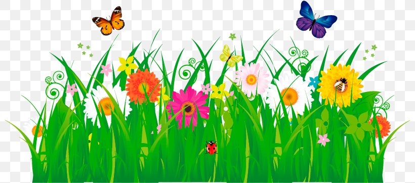 Green Grass Background, PNG, 801x362px, Drawing, Butterfly, Flower, Grass, Grassland Download Free