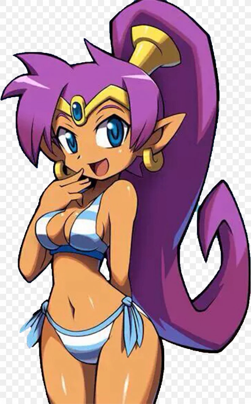 Shantae And The Pirate's Curse Shantae: Half-Genie Hero Shantae: Risky's Revenge Video Game Desktop Wallpaper, PNG, 1024x1649px, Watercolor, Cartoon, Flower, Frame, Heart Download Free