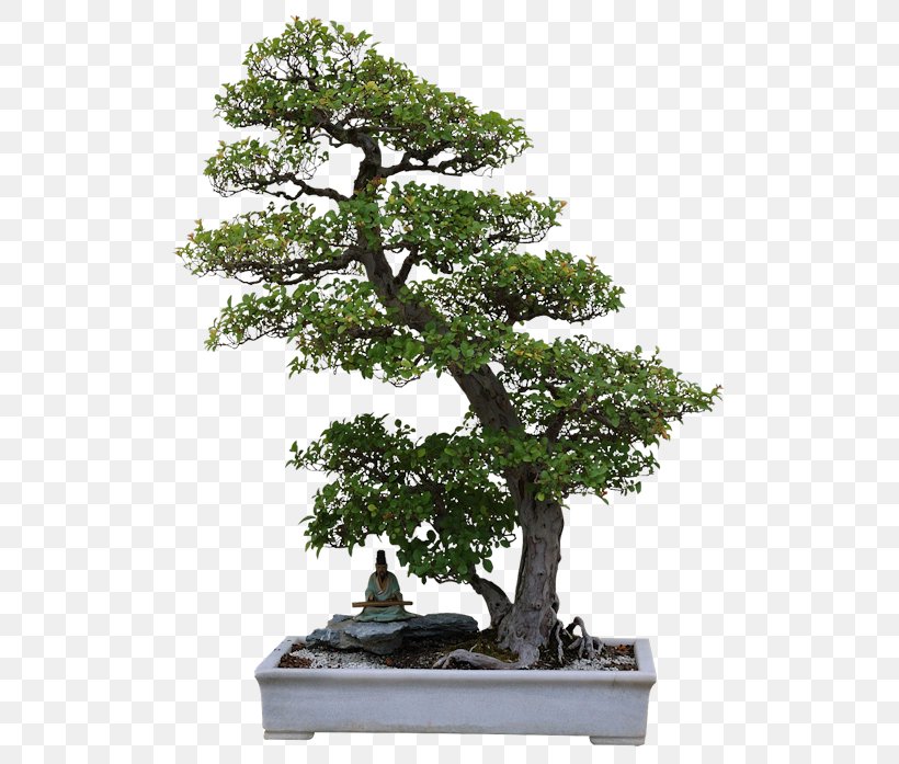 Art Surrealism Creativity Idea, PNG, 532x697px, Art, Bonsai, Creativity, Digital Art, Drawing Download Free