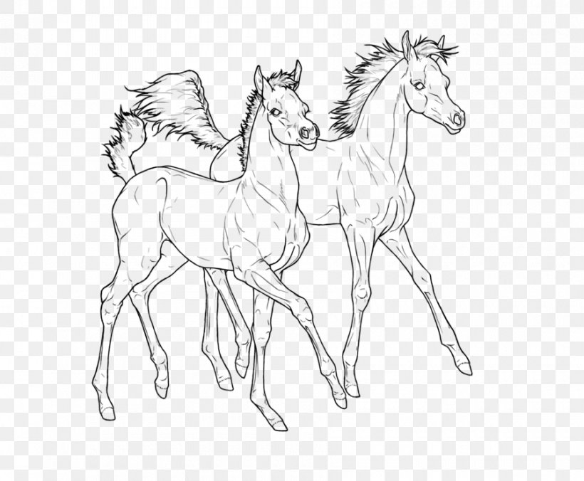 Foal Line Art Colt Arabian Horse Pony, PNG, 900x742px, Foal, Animal Figure, Arabian Horse, Artwork, Ausmalbild Download Free