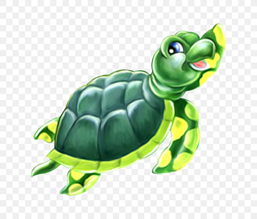 Sea Turtle Background, PNG, 700x700px, Turtle, Animal, Animal Figure, Common Snapping Turtle, Drawing Download Free