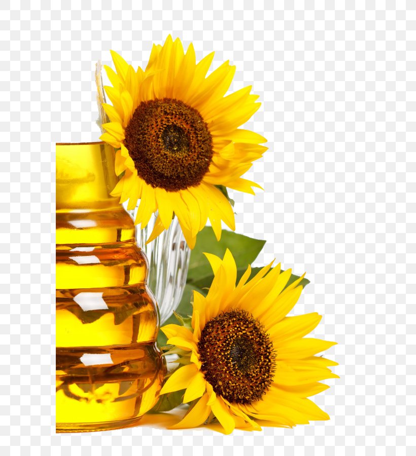 Sunflower Seed Cooking Oil Food Sunflower Oil, PNG, 600x900px, Sunflower Oil, Castor Oil, Common Sunflower, Communication Design, Cooking Oil Download Free
