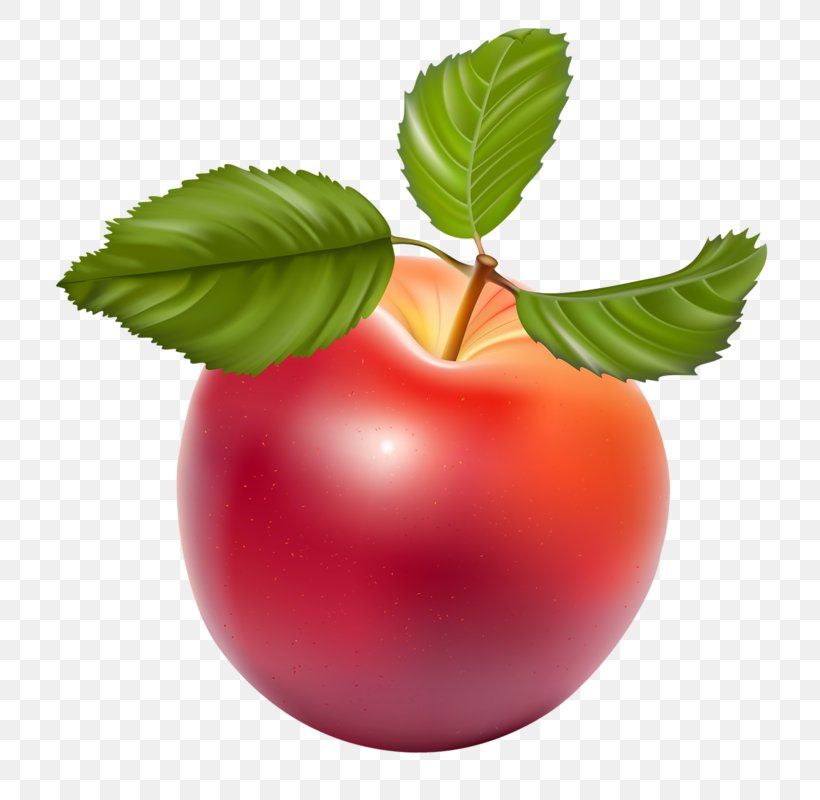 Apple Download Clip Art, PNG, 756x800px, Apple, Cherry, Diet Food, Food, Fruit Download Free