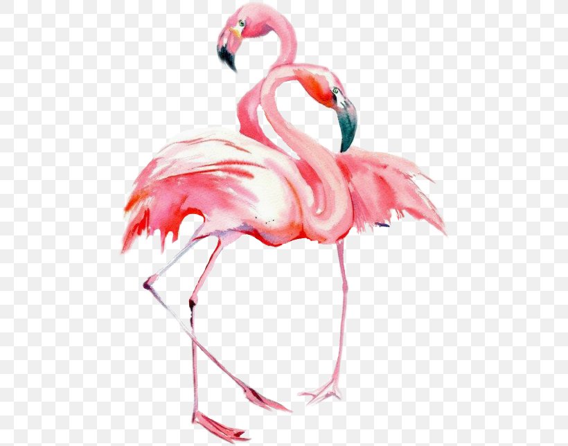 Bird Watercolor Painting Drawing Flamingos, PNG, 480x644px, Bird, Animal, Art, Beak, Drawing Download Free