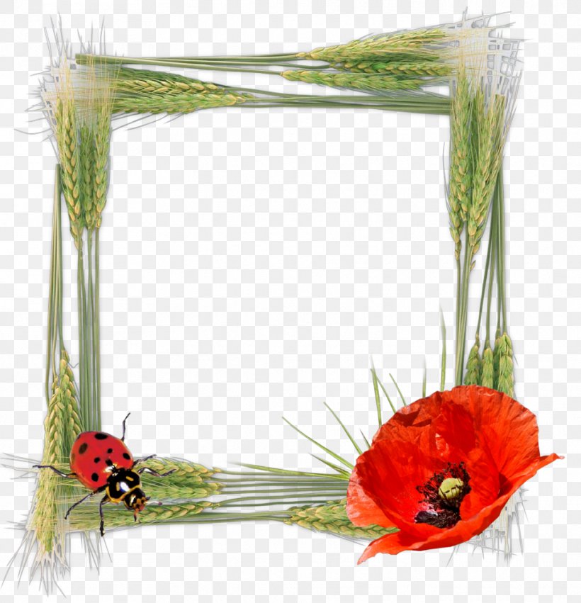 Floral Design Picture Frames Photography Red, PNG, 963x1000px, Floral Design, Color, Composition, Cut Flowers, Floristry Download Free