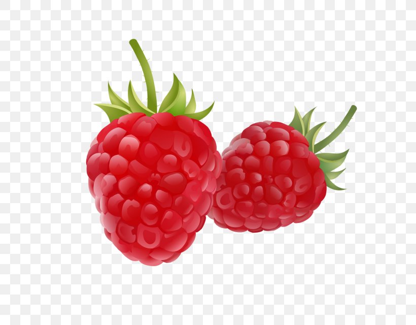 Raspberry Drawing Fruit Clip Art, PNG, 640x640px, Raspberry, Accessory Fruit, Auglis, Berry, Blackberry Download Free