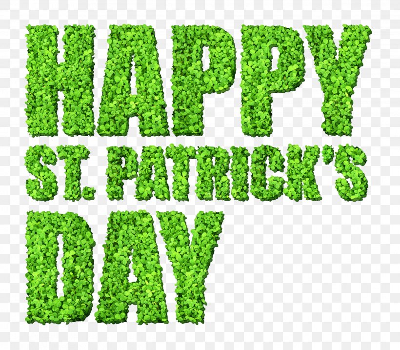 Saint Patrick's Day March 17 Clip Art, PNG, 2633x2304px, Saint Patrick S Day, Brand, Grass, Grass Family, Green Download Free
