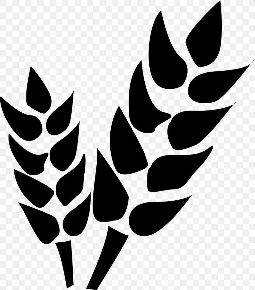 Agriculture Farm Vector Graphics, PNG, 862x980px, Agriculture, Agribusiness, Agricultural Cooperative, Black And White, Branch Download Free