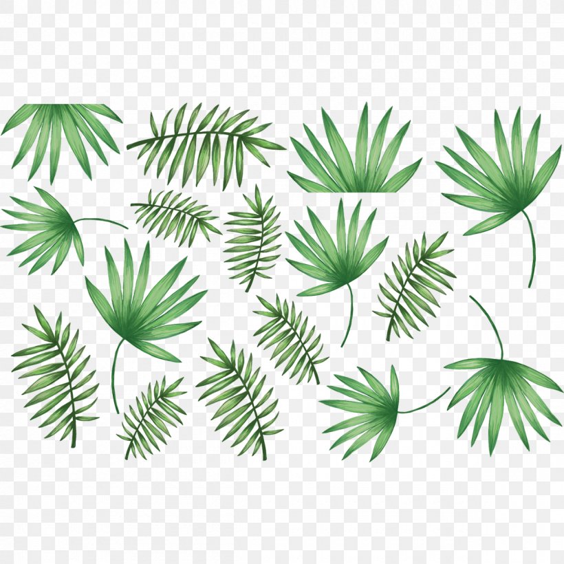 Arecaceae Palm Branch Leaf Sticker Wall Decal, PNG, 1200x1200px, Arecaceae, Arecales, Blue, Branch, Coconut Download Free