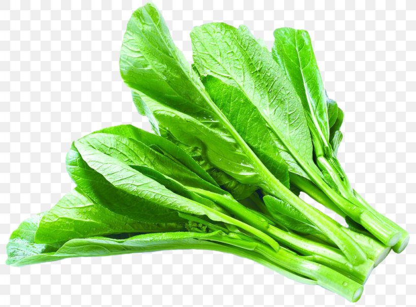 Asian Cuisine Leaf Vegetable Chinese Cabbage, PNG, 1024x755px, Asian Cuisine, Bok Choy, Cabbage, Chard, Chinese Cabbage Download Free