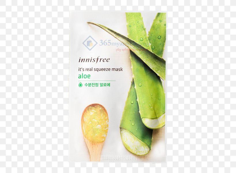 Aloe Vera Facial Mask Innisfree, PNG, 600x600px, Aloe Vera, Body Shop Tea Tree Oil Face Mask, Cosmetics In Korea, Face, Facial Download Free