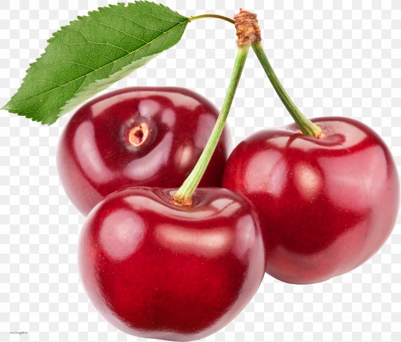 Cherry Fruit Clip Art, PNG, 1600x1369px, Cherry, Accessory Fruit, Acerola, Acerola Family, Apple Download Free