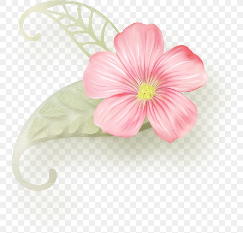 Floral Design Cut Flowers Album, PNG, 800x784px, Floral Design, Album, Cut Flowers, Flower, Flowering Plant Download Free