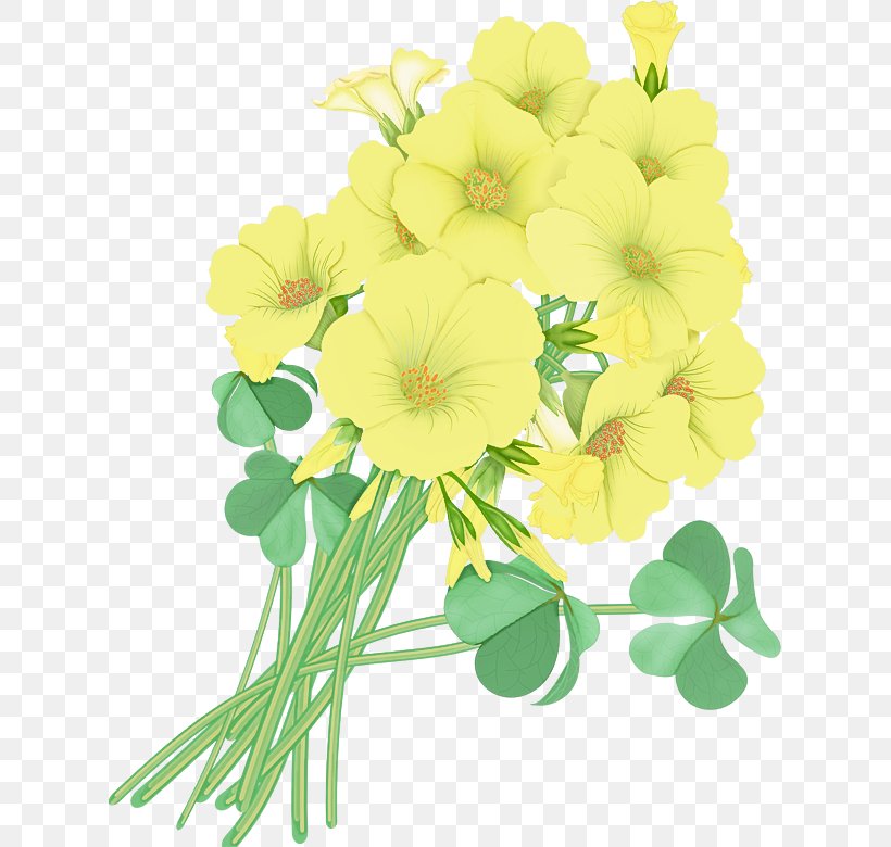 Flower Flowering Plant Plant Yellow Clip Art, PNG, 619x780px, Flower, Bouquet, Flowering Plant, Leaf, Petal Download Free