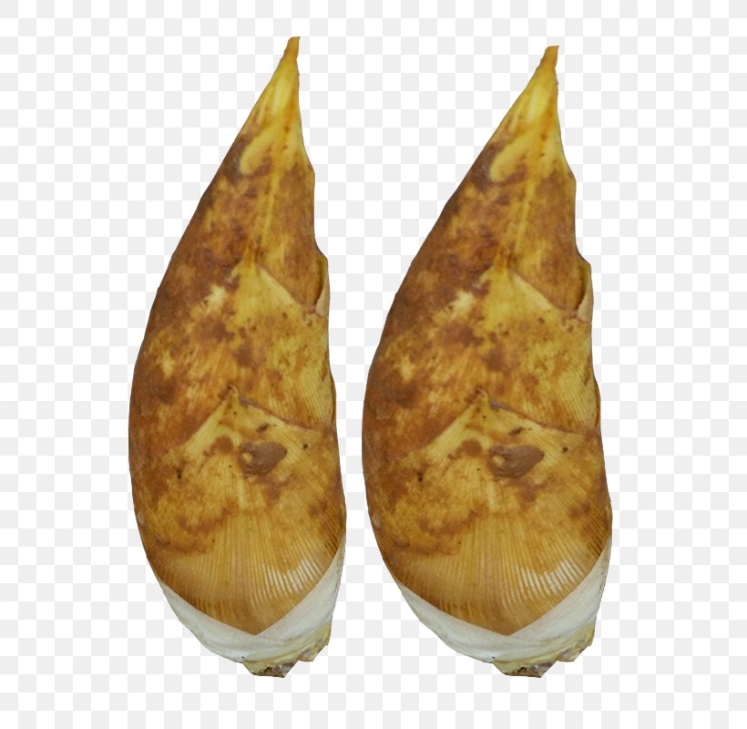 Bamboo Shoot Vegetable, PNG, 800x800px, Bamboo Shoot, Bamboo, Dish, Food, Leaf Vegetable Download Free