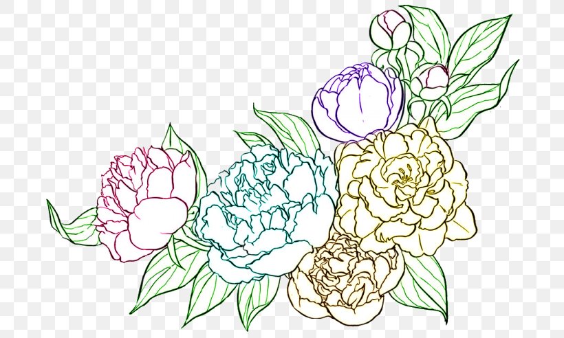 Peony Coloring Book Line Art Drawing Flower, PNG, 700x492px, Peony, Botany, Color, Coloring Book, Common Peony Download Free