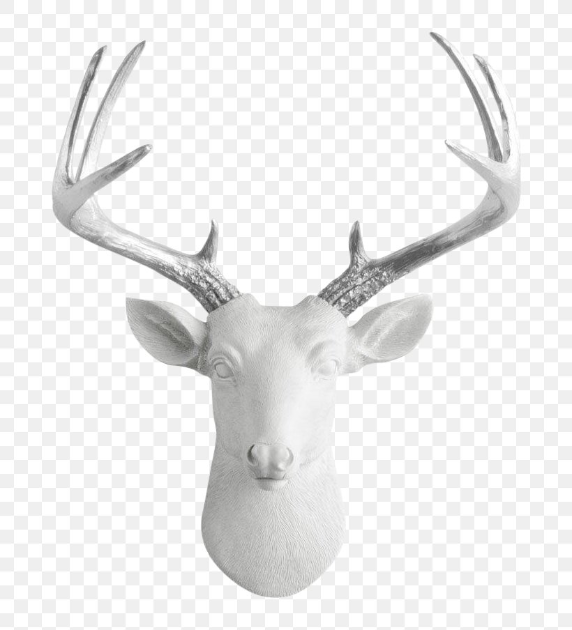 White-tailed Deer Antler Bison Moose, PNG, 750x904px, Deer, Animal, Antler, Bison, Bust Download Free