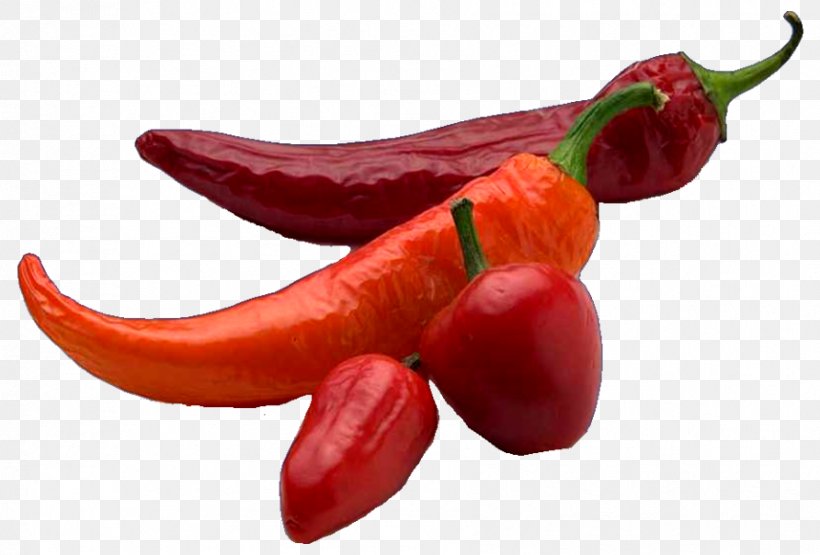 Piquillo Pepper Serrano Pepper Bird's Eye Chili Tabasco Pepper Capsicum Annuum Var. Acuminatum, PNG, 892x604px, Piquillo Pepper, Bell Peppers And Chili Peppers, Bird S Eye Chili, Capsicum, Capsicum Annuum Download Free