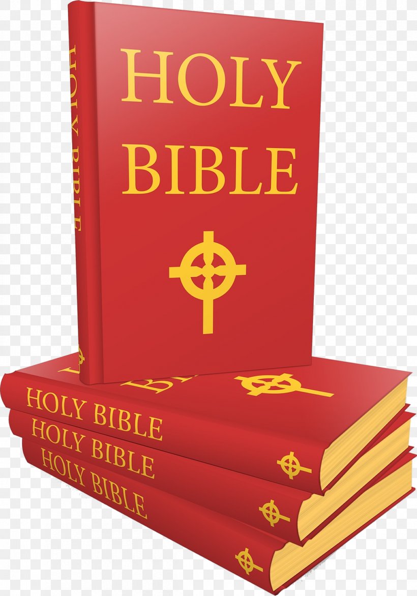 The Bible: Authorized King James Version New English Bible New Testament Catholic Bible, PNG, 1200x1716px, Bible, Audio Bible, Bible Translations, Book, Book Cover Download Free