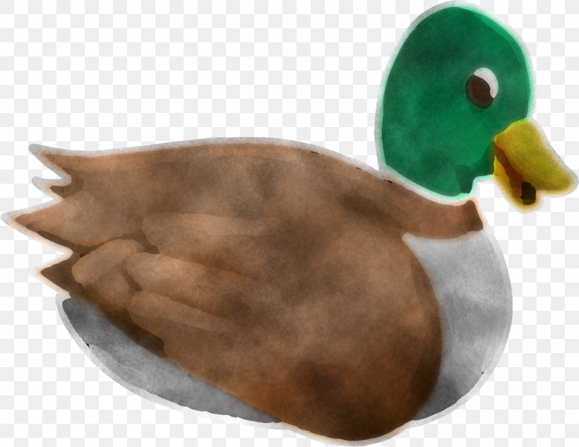 Duck Mallard Ducks, Geese And Swans Water Bird Bird, PNG, 1393x1076px, Duck, Bird, Ducks Geese And Swans, Goose, Hunting Decoy Download Free