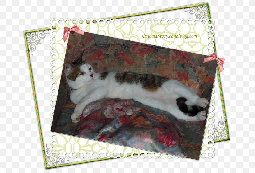 Kitten Whiskers Fauna Textile, PNG, 680x556px, Kitten, Box, Carnivoran, Cat, Cat Like Mammal Download Free