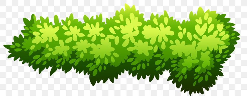 Shrub Illustration, PNG, 800x321px, Shrub, Fence, Flower, Garden, Grass Download Free