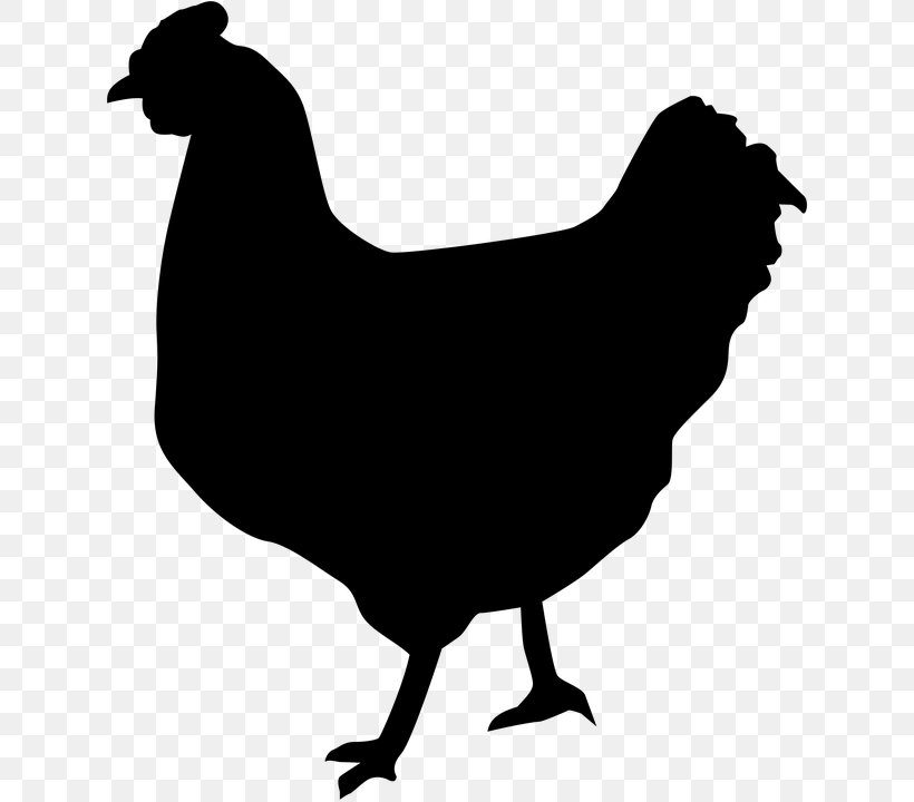 Silkie Chicken Nugget Rooster Chicken As Food Poultry, PNG, 630x720px, Silkie, Beak, Bird, Black And White, Chicken Download Free