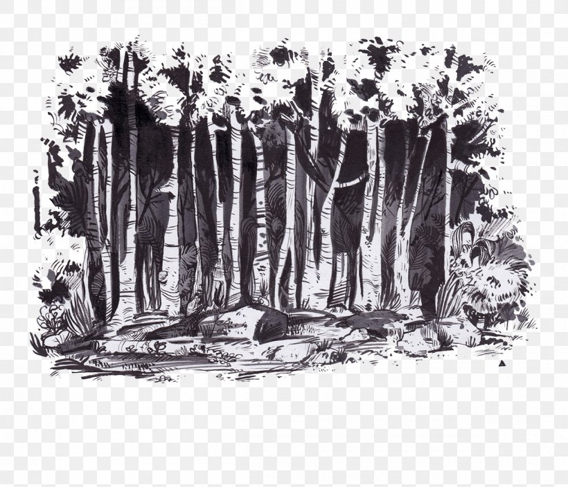 T-shirt Forest Icon, PNG, 1200x1031px, Tshirt, Black And White, Drawing, Forest, Monochrome Download Free