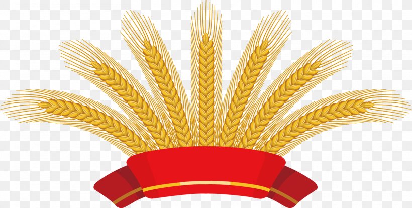 Common Wheat Ear Clip Art, PNG, 1614x816px, Common Wheat, Autumn, Commodity, Crop, Ear Download Free