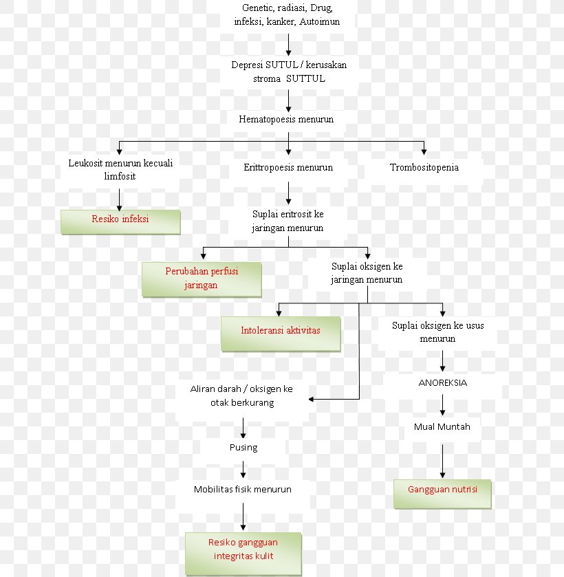 Document Line Angle, PNG, 643x839px, Document, Area, Diagram, Paper, Parallel Download Free