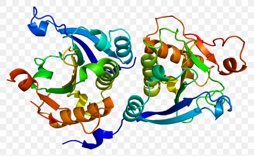 EIF4EBP1 Eukaryotic Initiation Factor EIF4G, PNG, 977x600px, Eukaryotic Initiation Factor, Alpha Helix, Area, Art, Artwork Download Free