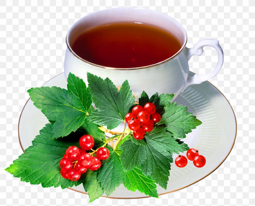 Green Tea Redcurrant Berry Zante Currant, PNG, 1457x1181px, Tea, Aquifoliaceae, Berry, Cranberry, Currant Download Free