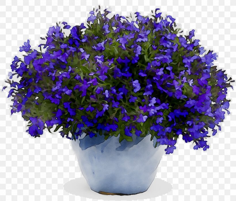 Proven Winners Seed Garden Lacy Phacelia Plants, PNG, 1102x942px, Proven Winners, Annual Plant, Bellflower, Bellflower Family, Blue Download Free