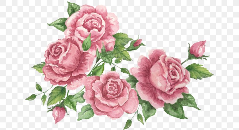 Garden Roses Cabbage Rose Flower Floral Design, PNG, 650x446px, Garden Roses, Cabbage Rose, Crossstitch, Cut Flowers, Embroidery Download Free