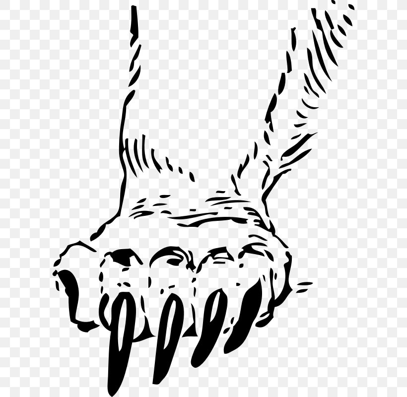 Grizzly Bear Paw Claw Clip Art, PNG, 800x800px, Bear, Arm, Art, Artwork, Beak Download Free