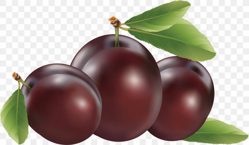 Plum Clip Art, PNG, 3497x2048px, Fruit, Apple, Auglis, Berry, Camu Camu Download Free