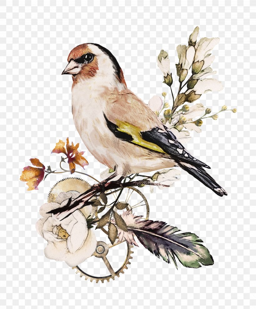 Watercolor Painting Watercolor: Flowers Drawing Illustration, PNG, 4603x5564px, Watercolor Painting, Art, Beak, Bird, Branch Download Free
