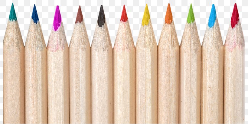 Colored Pencil Download Icon, PNG, 800x409px, Pencil, Color, Colored Pencil, Creativity, Health Beauty Download Free