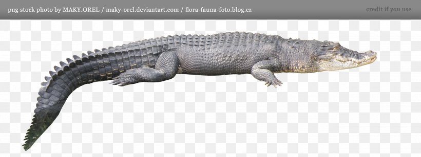 Crocodile Alligator Clip Art, PNG, 2560x960px, Crocodile, Alligator, Animal Figure, Crocodiles, Crocodilia Download Free