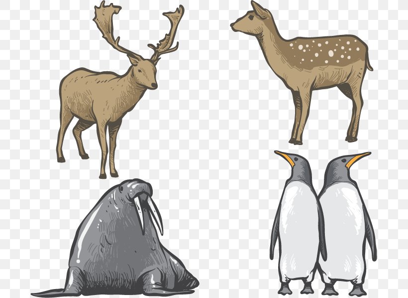 Hand-painted Animals, PNG, 697x598px, Deer, Animal, Animation, Antelope, Antler Download Free