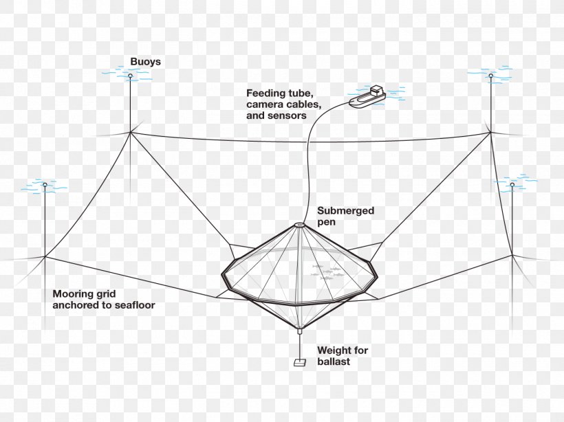 Line Point Angle, PNG, 1420x1064px, Point, Area, Diagram, Structure, Triangle Download Free