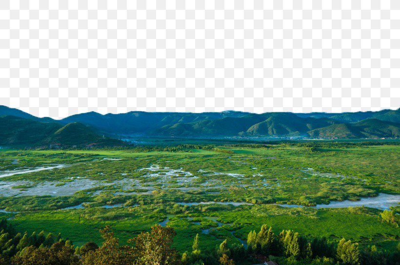 Lugu Lake Shangri-La City Luguhu Guanjingtai Qingrentan Caohai Sea, PNG, 820x544px, Lugu Lake, Biome, Caohai Lake, Caohai Sea, Ecoregion Download Free