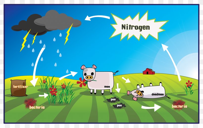 The Nitrogen Cycle Biology Nitrogen Fixation, PNG, 1920x1212px, Nitrogen Cycle, Art, Atmosphere, Atmosphere Of Earth, Bacteria Download Free