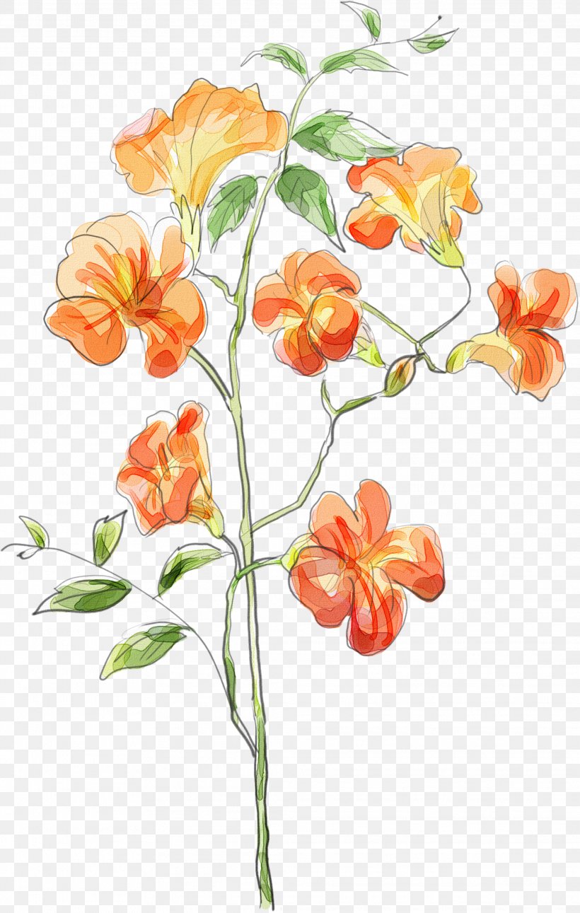 Watercolor Painting Image Vector Graphics Orange, PNG, 2078x3274px, Watercolor Painting, Art, Blue, Branch, Color Download Free