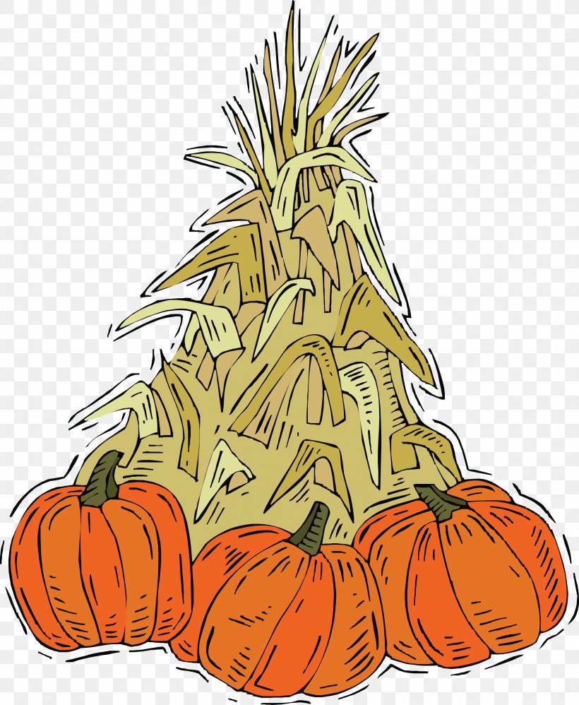 Calabaza Pumpkin Cucurbita Vegetable Clip Art, PNG, 2955x3600px, Calabaza, Art, Commodity, Cucurbita, Flower Download Free