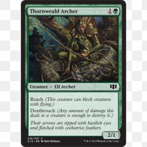 Thorn Ball - Magic: The Gathering Online Thornweald Archer Playing Card Collectible Card Game PNG