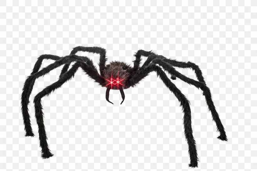 Spider Halloween Film Series Tarantula Game, PNG, 4500x3000px, Spider, Arachnid, Arthropod, Black Widow, Game Download Free