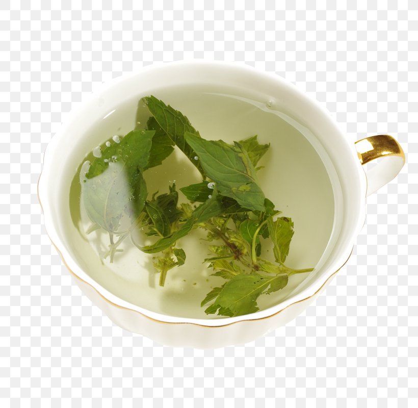 Green Tea Maghrebi Mint Tea, PNG, 800x800px, Tea, Broth, Camellia Sinensis, Crxe8me De Menthe, Cup Download Free
