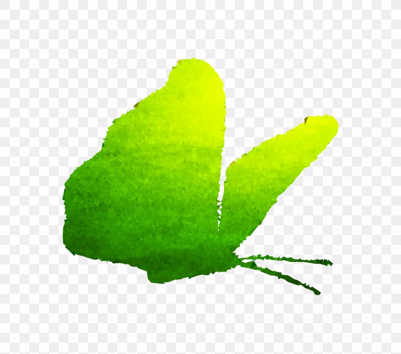 Leaf Plant Stem Plants, PNG, 1700x1500px, Leaf, Green, Logo, Plant, Plant Stem Download Free