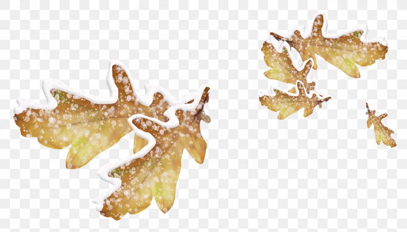 Leaf Snow Icon, PNG, 2546x1450px, Leaf, Blog, Brown, Christmas, Easter Download Free